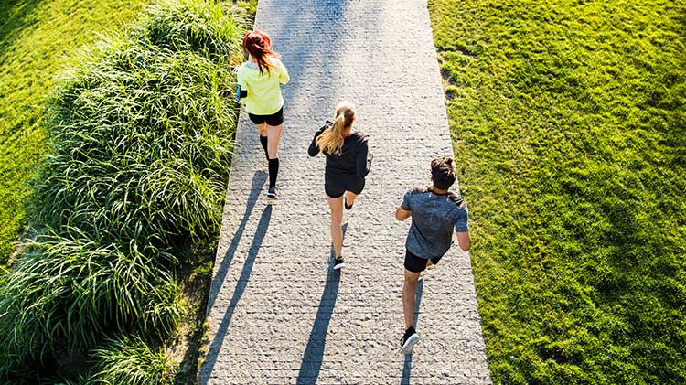 Outdoor Fitness Group Outdoor Fitness Group